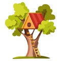 Treehouse on backyard, house on tree, hut and ladder, playground