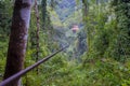 Treehouse deep in a jungle Royalty Free Stock Photo