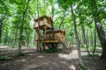 Treehouse in forrest