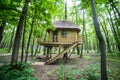 Treehouse in forrest Royalty Free Stock Photo