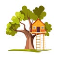 Treehouse house on tree with ladder playground isolated plant