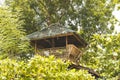A treehouse near Dumaluan Beach in Panglao Island, Bohol, Philippines