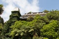 Treehouse visitor center in Botanic Garden, Wellington, New Zealand