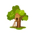 Treehouse, wooden hut on tree with ladder for kids outdoor activity vector Illustration on a white background