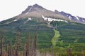 Treeline along the side of Mount Blakiston at Waterton Lakes National Park Royalty Free Stock Photo