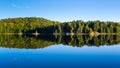 Vibrant green treeline and reflection Royalty Free Stock Photo