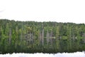 Treeline reflection on Killarney Lake Royalty Free Stock Photo