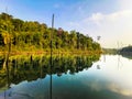 Treeline reflection on pond in Bukit Sapu Tangan hiking trail Shah Alam Selangor Malaysia