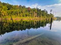 Treeline reflection on pond in Bukit Sapu Tangan hiking trail Shah Alam Selangor Malaysia