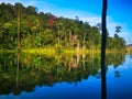 Treeline reflection on pond in Bukit Sapu Tangan hiking trail Shah Alam Selangor Malaysia