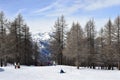 Treelined ski slope with background mountain in sunny Italian winter sports resort Royalty Free Stock Photo