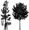 Trees