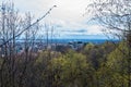 Trees above Montreal