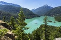 Trees above Turquoise Diable Lake Royalty Free Stock Photo