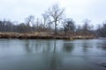 Trees Across a River in Winter Royalty Free Stock Photo