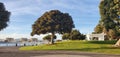 trees against the backdrop of the sea and buildings of downtown Los Angeles 2020 marina del rey