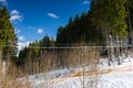 Trees against blue sky in a snow-covered forest Royalty Free Stock Photo