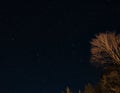 Trees against night sky with stars Royalty Free Stock Photo