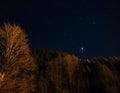 Trees against night sky with stars Royalty Free Stock Photo