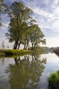 Trees along the Bleeke Kil Royalty Free Stock Photo