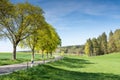 Trees along a country road Royalty Free Stock Photo