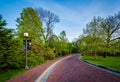 Trees along a driveway at Johns Hopkins University, in Baltimore