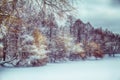 Trees along the lake covered with snow. Winter landscape at the frozen water in the forest Royalty Free Stock Photo