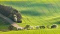 Trees along a path through a rolling spring field with traces of tractor wheels Royalty Free Stock Photo