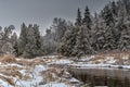 Pine River Winter Scene After An Ice Storm In Canada Wilderness Royalty Free Stock Photo