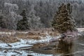 Ice Covered Trees After Freezing Rain In Canada Wilderness Royalty Free Stock Photo