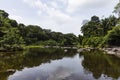 Trees along and rocks in river Royalty Free Stock Photo