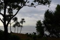 trees at anoi itam beach, weh island Aceh Sumatra Indonesia