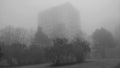 Trees with an apartment building in the park during misty morning