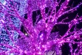 Trees and archways decorated with glowing purple neons