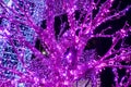 Trees and archways decorated with glowing purple neons Royalty Free Stock Photo