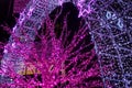 Trees and archways decorated with glowing purple neons