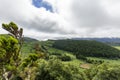 Trees around the Alferes Caldera Royalty Free Stock Photo