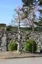 The trees around Himeji Castle.