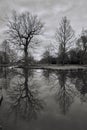 Trees around lake reflecting in the water Royalty Free Stock Photo