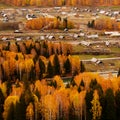 The trees in autumn