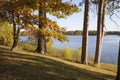 Trees in autumn color on shore of beautiful lake in northern Minnesota Royalty Free Stock Photo