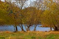 Trees in autumn colors near Potomac River at the Canal Historic National Park. Royalty Free Stock Photo