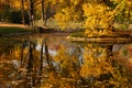 Trees in autumn colors and reflections in water