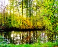 Trees with autumn leaves in bright colors on the river bank with reflection in the water 2 Royalty Free Stock Photo