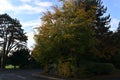 Trees in autumn vivid colors side road in Oxford