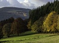 autumn Winterberg Sauerland Germany