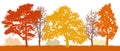 Trees in autumn silhouette. Autumn park. Vector illustration