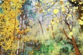 Trees in autumn with yellow leaves, fall season image, digital watercolor painting Royalty Free Stock Photo