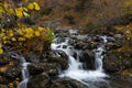 Pollos river Comapedrosa nature park Royalty Free Stock Photo