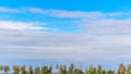 Trees on the background of the azure sky with clouds